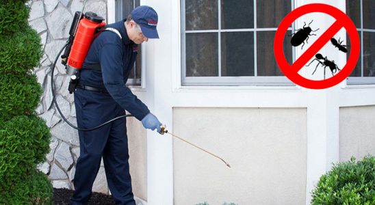 Bayramiç Tahtakurusu İlaçlama böcek ilaçlama ve haşere kontrolü — ilaclama-tr.com